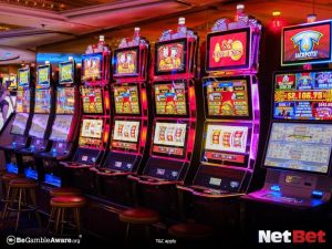 enjoy555 - Cassino Oficial Bet
